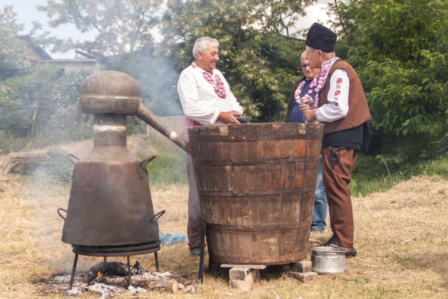 Rose picking festival in Bulgaria