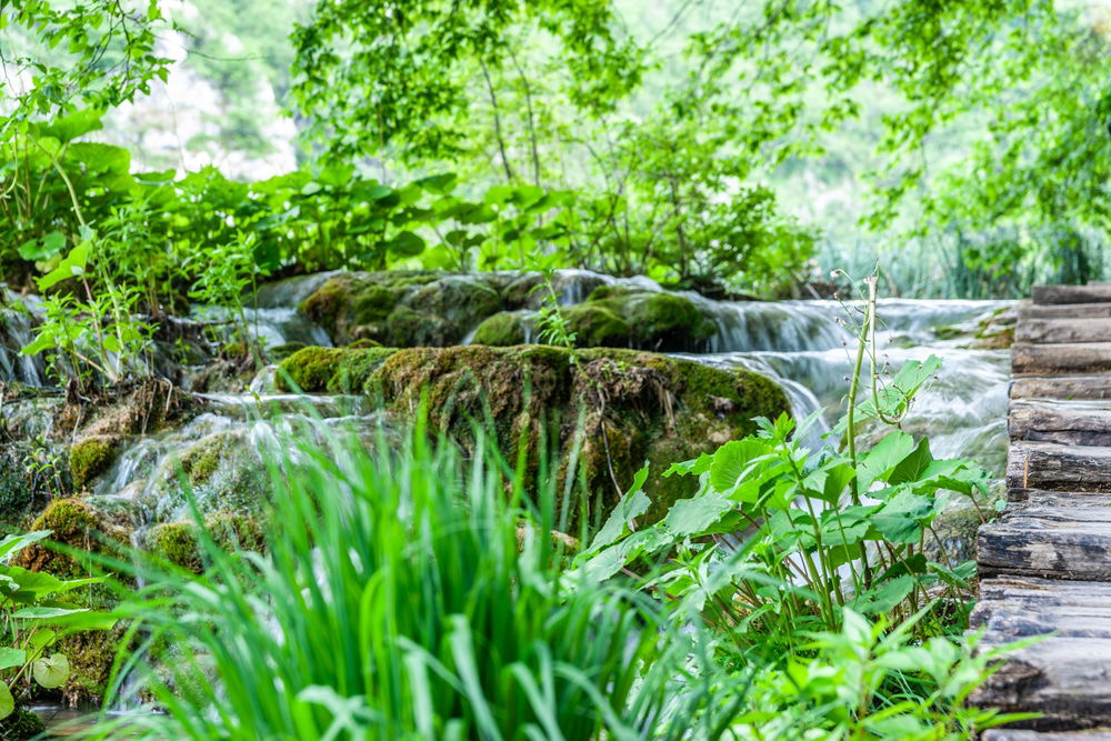 Wooden walkway beside a lush, moss-covered cascade in Plitvice Lakes, a vibrant green forest setting.