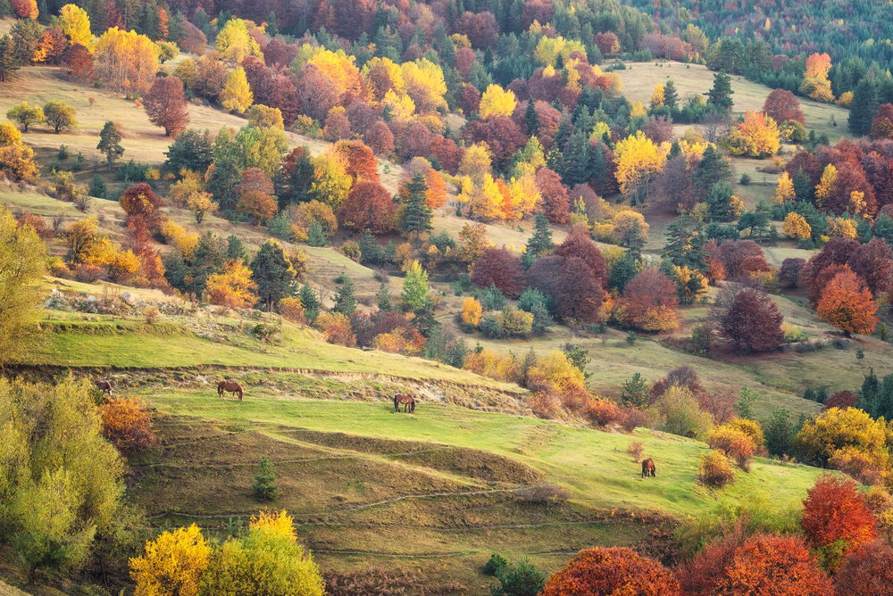 Best Hikes In Bulgaria: 16 Bulgaria Mountaineering Spots 